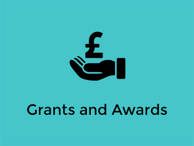 Grants and Awards icon