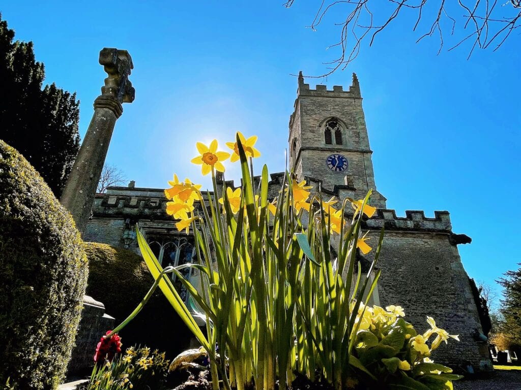 daffodils outside St Edburgs Church BIcester